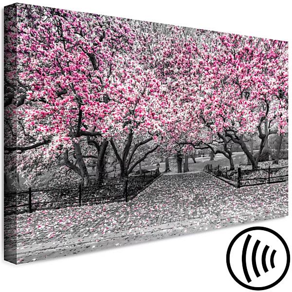 Wandbild Magnolia Park (1 Part) Wide Pink XXL günstig online kaufen