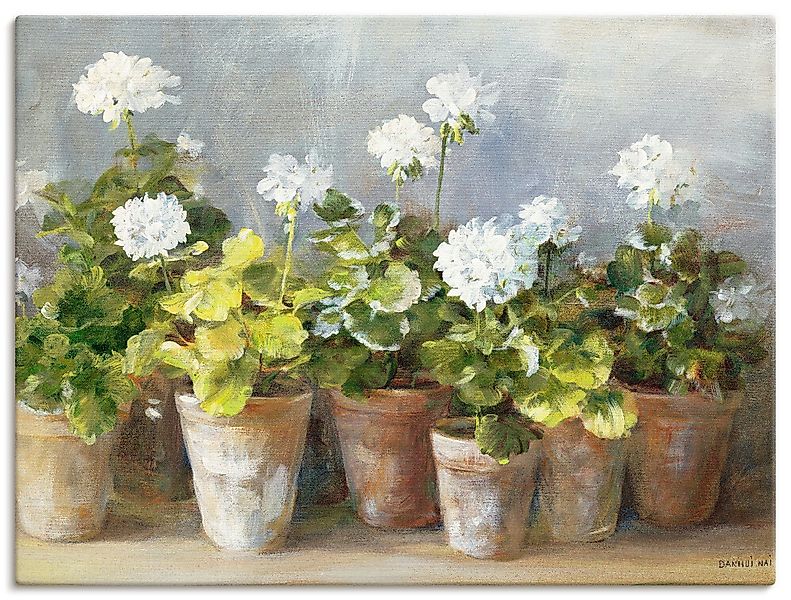 Artland Wandbild Weiße Geranien, Blumen (1 günstig online kaufen