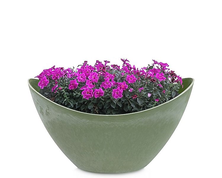 matches21 HOME & HOBBY Blumentopf Pflanzschale oval 20 cm für draussen Deko günstig online kaufen