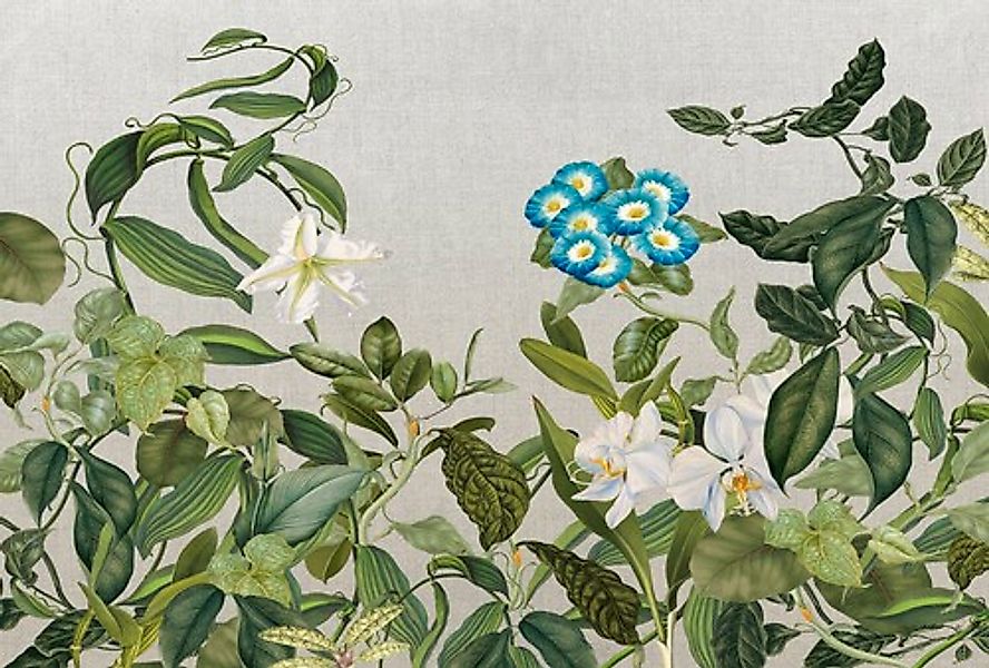 Architects Paper Fototapete »Atelier 47 Botanic Sketch 1« floral glatt Vlie günstig online kaufen