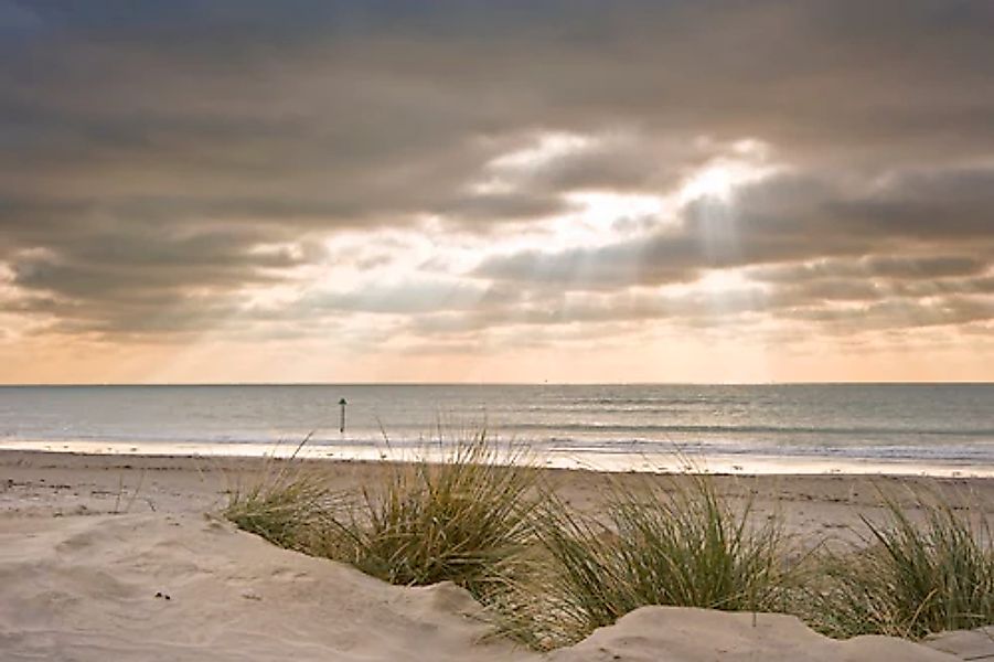Papermoon Fototapete »Dunes in Winter« glatt günstig online kaufen