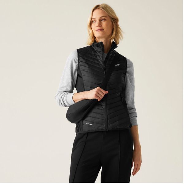 Regatta Softshellweste Andreson Hybrid günstig online kaufen