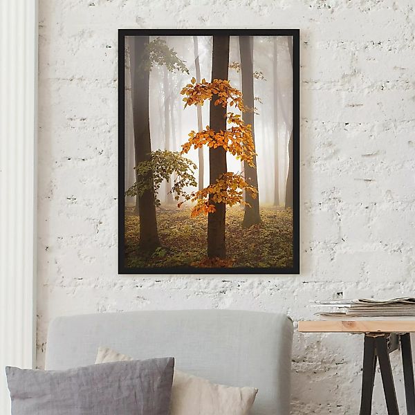 Bild mit Rahmen Natur & Landschaft - Hochformat Novemberwald günstig online kaufen