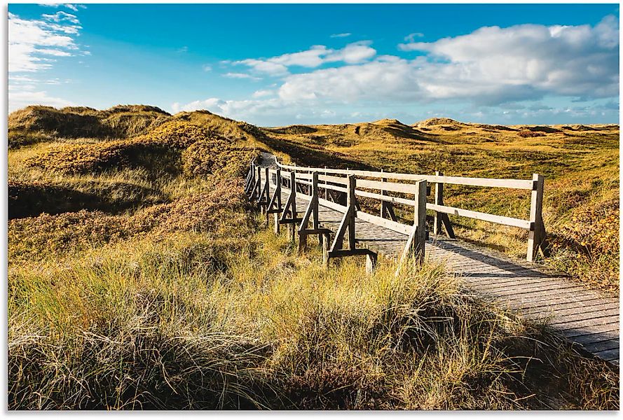 Artland Wandbild "Landschaft in den Dünen Insel Amrum", Küste, (1 St.), als günstig online kaufen