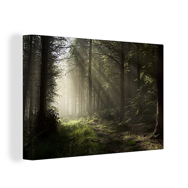 OneMillionCanvasses® Leinwandbild Wald - Baum - Wasser, Fotodruck (1 St), L günstig online kaufen
