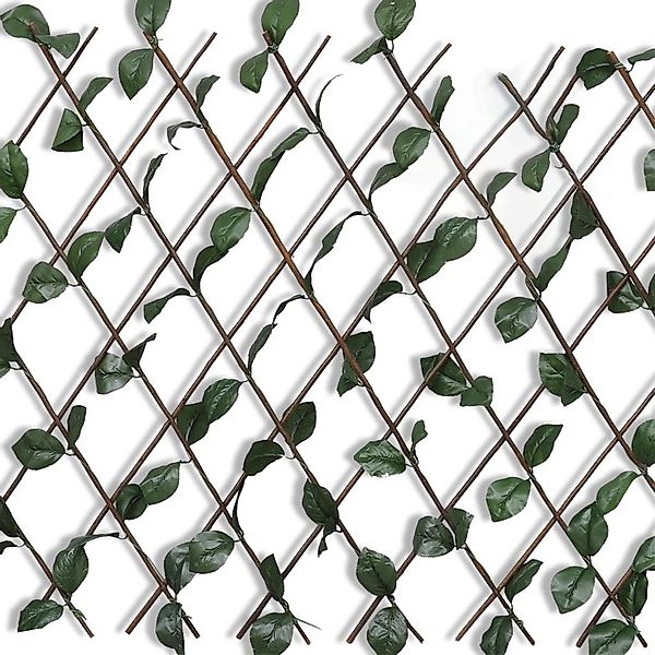 vidaXL Gartenzaun Weidengitter 5 Stk. mit günstig online kaufen