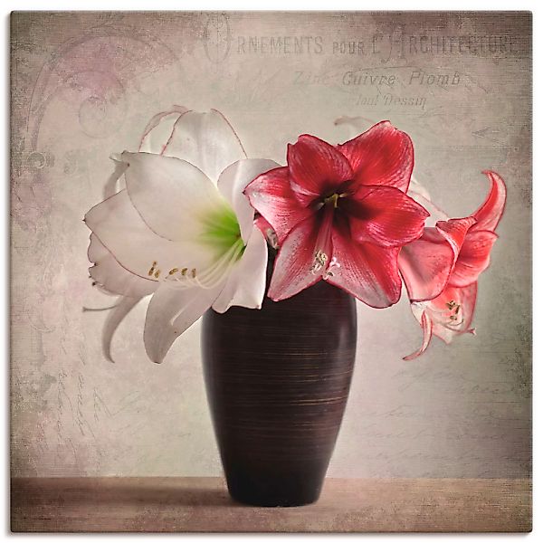 Artland Wandbild "Amaryllis Vintage I", Blumen, (1 St.) günstig online kaufen