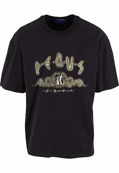 PEQUS T-Shirt "PEQUS PEQUS Ancient Painting T-Shirt" günstig online kaufen