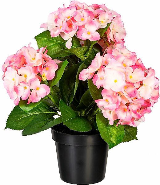 Kunstpflanze Hortensienbusch Hortensie, Creativ green, Höhe günstig online kaufen