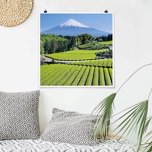 Poster - Quadrat Teefelder vor dem Fuji günstig online kaufen