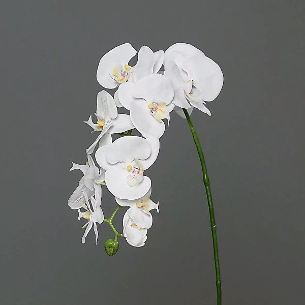 Kunstblume Orchidee-Phalaenopsis cream 95cm günstig online kaufen