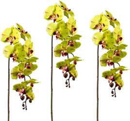 Kunstpflanze Orchidee, Creativ green, Höhe 98 günstig online kaufen