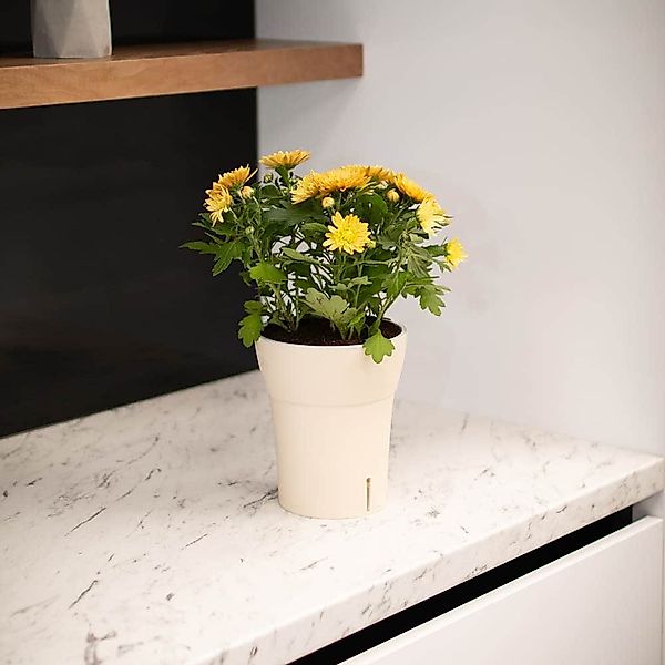 Happy plants Blumentopf Dali-Dea - Selbstbewässernder Orchideentopf, Mattop günstig online kaufen