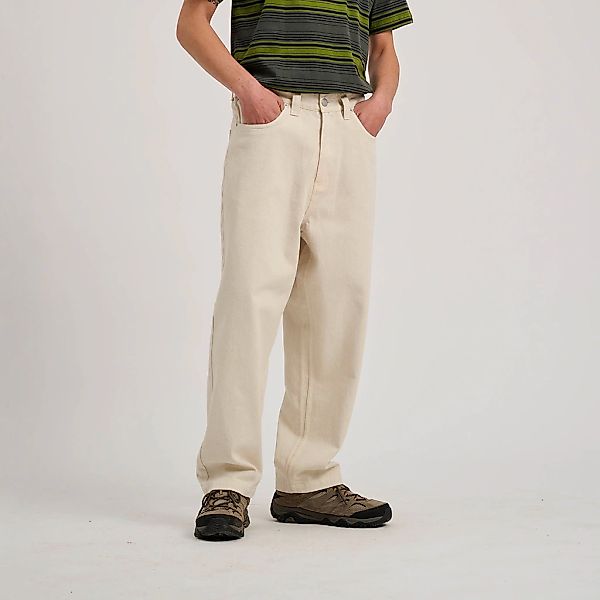 Santa Cruz Webhose "BIG PANTS" günstig online kaufen