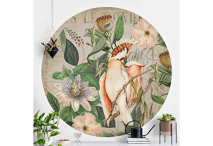 Bilderdepot24 Vliestapete rund Collage Style Rosa Kakadu, Glatt, Matt, (Vli günstig online kaufen