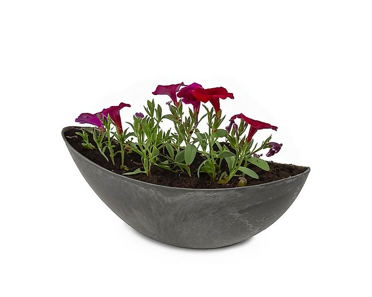 matches21 HOME & HOBBY Blumentopf Große Pflanzschale oval 39 cm für drausse günstig online kaufen