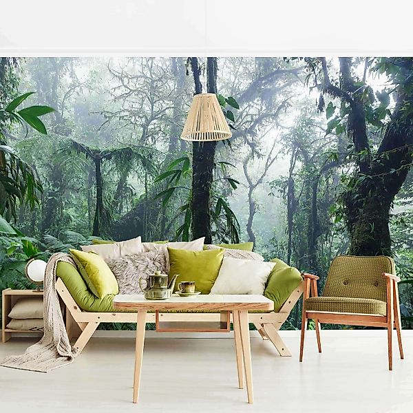 Fototapete Monteverde Nebelwald günstig online kaufen