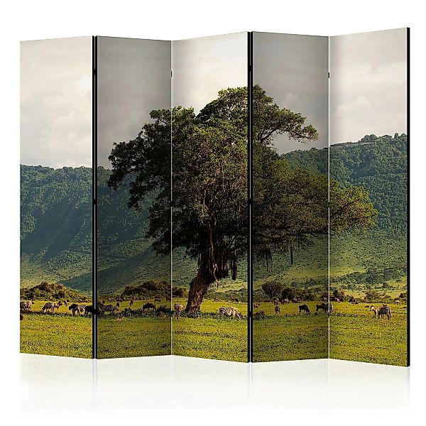 5-teiliges Paravent - In A Crater Of Ngoro Ngoro Ii [room Dividers] günstig online kaufen
