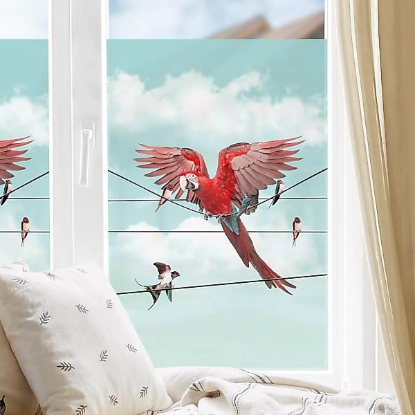 Fensterfolie Himmel mit Vögeln günstig online kaufen