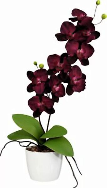 Kunstpflanze Orchidee beere günstig online kaufen