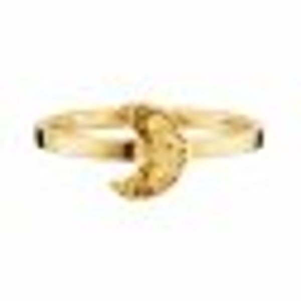 Ring 925/- Sterling Silber vergoldet günstig online kaufen