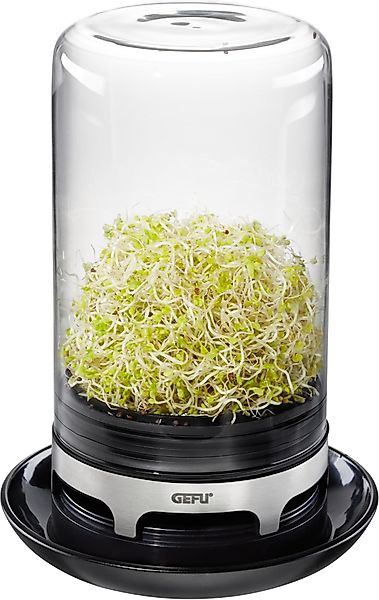 GEFU Kräutertopf Bivita, Sprossenglas günstig online kaufen