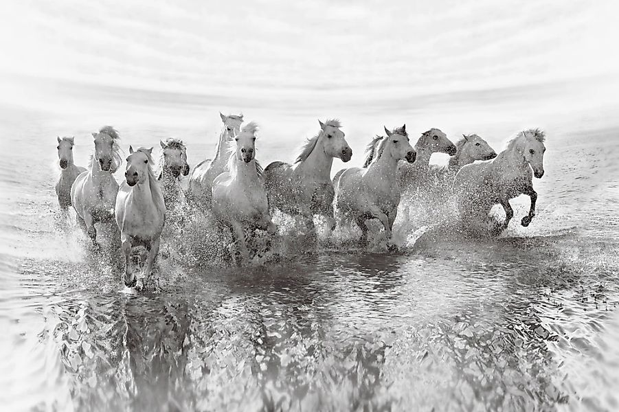 Papermoon Fototapete "Photo-Art ROMAN GOLUBENKO, TÄUSCHUNG DER MACHT (13 RU günstig online kaufen