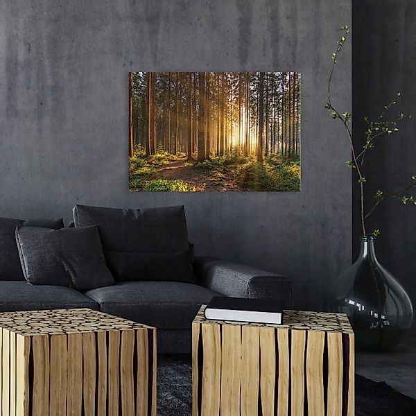 Wallarena Leinwandbild Wald Sonne Natur Grün günstig online kaufen