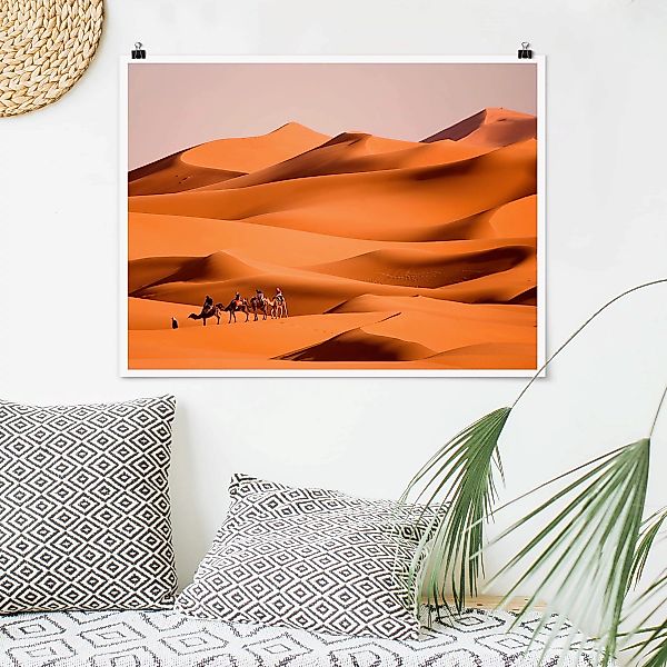 Poster Tiere - Querformat Namib Desert günstig online kaufen