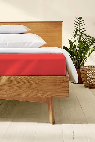 Kaeppel Spannbettlaken »Single Jersey Mako Elasthan«, aus 97% Baumwolle und günstig online kaufen