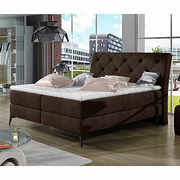 Boxbett Polsterbett aus Velours in Dunkelbraun günstig online kaufen