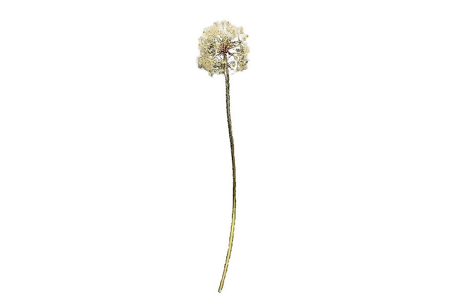 Kunstblume Kunstblume Pusteblume Flora Pusteblume, HTI-Living, Höhe 91 cm, günstig online kaufen