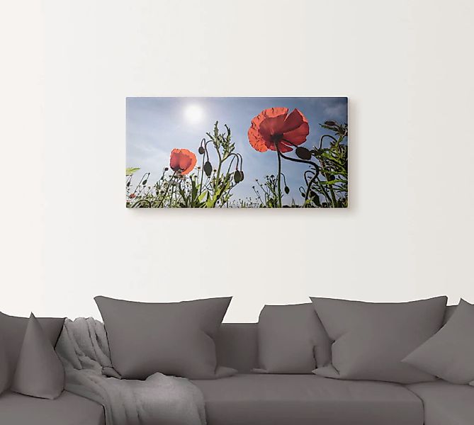 Artland Wandbild "Mohnblumen im Frühling", Blumenwiese, (1 St.), als Alubil günstig online kaufen