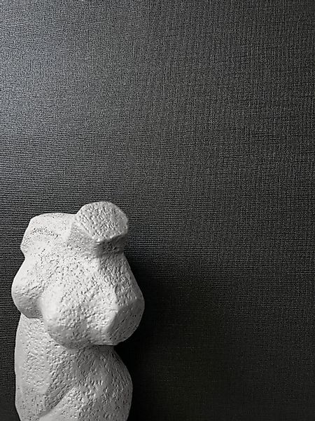 Newroom Vliestapete, Schwarz Tapete Uni Einfarbig günstig online kaufen