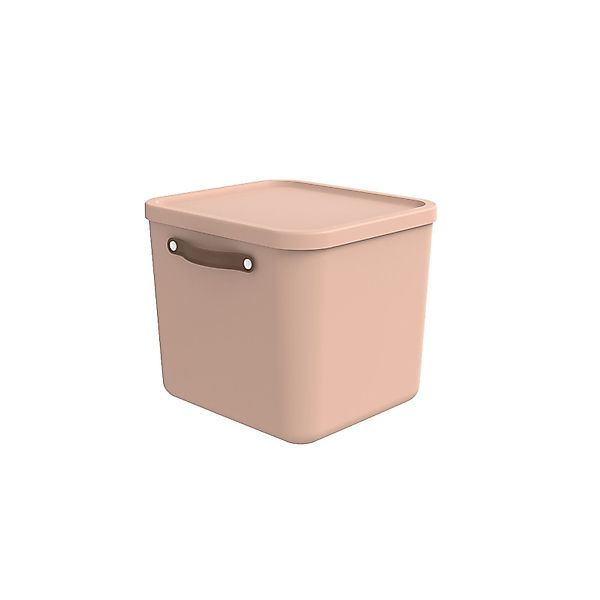 ROTHO Aufbewahrungsbox Aufbewahrungsbox mit Deckel 40 günstig online kaufen