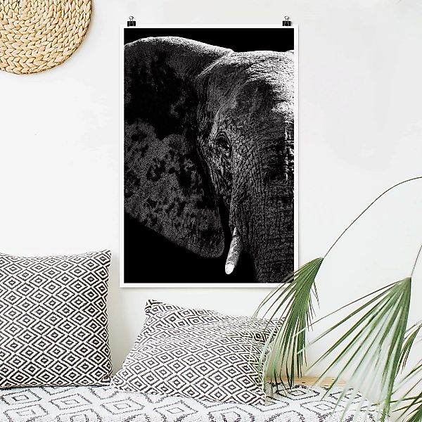 Poster Tiere - Hochformat Afrikanischer Elefant schwarz-weiß günstig online kaufen