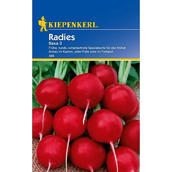 Kiepenkerl Radieschen Saxa 3 Zoll günstig online kaufen