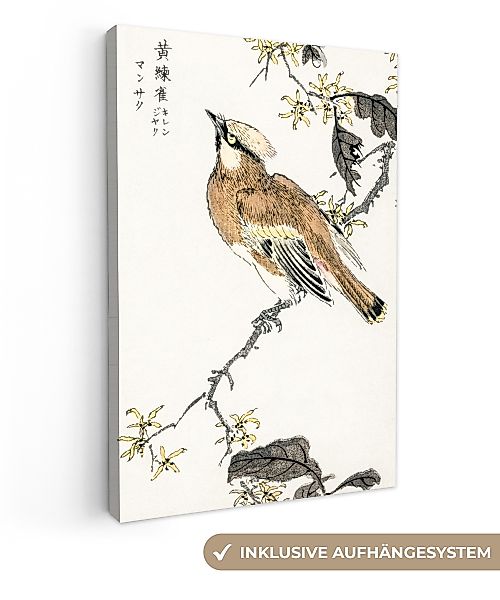 OneMillionCanvasses® Leinwandbild Vogel - Baum - günstig online kaufen