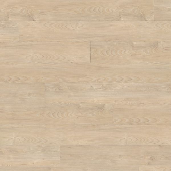 Living by Haro XL Laminat 8 mm Ahorn Vario Silber 220 cm günstig online kaufen