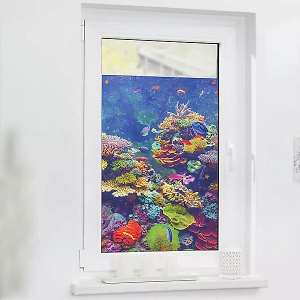 LICHTBLICK Fensterfolie Aquarium Meer Aquarium bunt B/L: ca. 100x180 cm günstig online kaufen