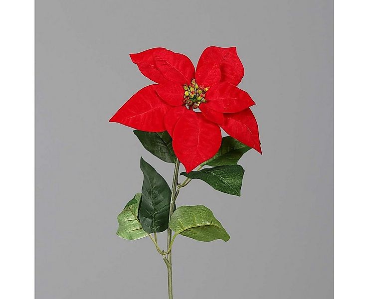 Kunstpflanze Künstlicher Weihnachtssternstecker Rot Höhe 55cm Poinsettie, m günstig online kaufen