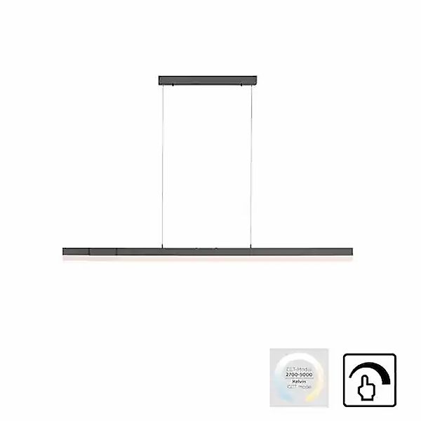 Paul Neuhaus LED Deckenleuchte »SINA« LED-Board 1 Stk. warmweiß - kaltweiß günstig online kaufen