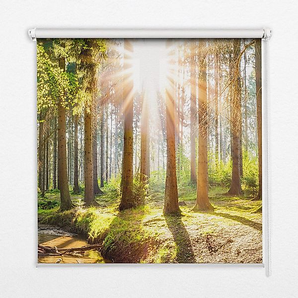 Rollo Rollos für Fenster, Seitenzugrollo, verdunkelung günstig online kaufen