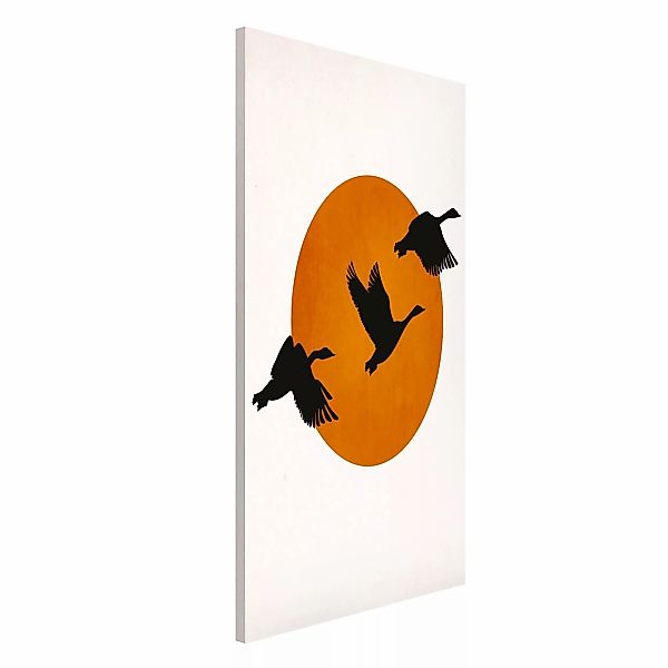 Magnettafel Birds In Front Of Red Sun günstig online kaufen