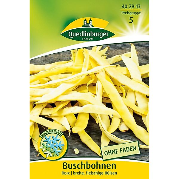 Quedlinburger Buschbohnen ''Odir'' Gelb günstig online kaufen