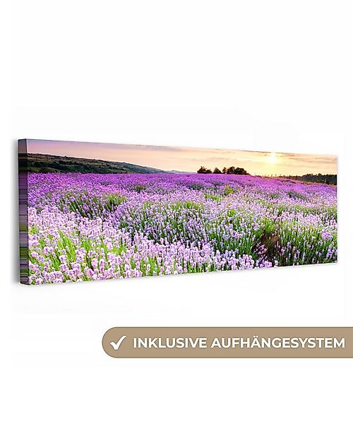 OneMillionCanvasses® Leinwandbild Panorama Lavendel - Blumen - Sonnenunterg günstig online kaufen