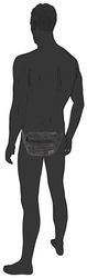 camel active Bauchtasche Laos, funktionaler Begleiter günstig online kaufen