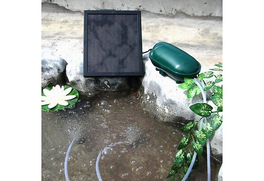 Wehmann Teichbelüfter Solar Power Doppel Belüfterpumpe 200 l/h Teichbelüfte günstig online kaufen