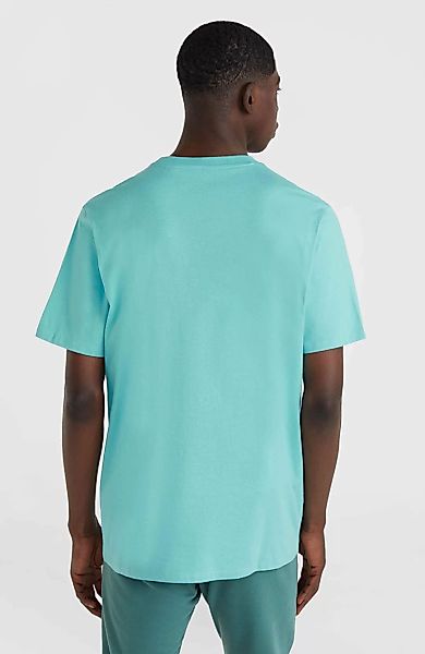 ONeill T-Shirt "ONEILL LOGO T-SHIRT" günstig online kaufen