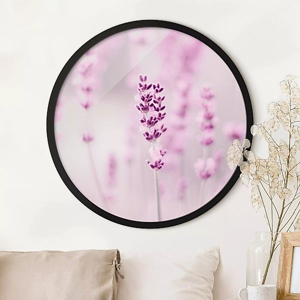 Rundes Gerahmtes Bild Zartvioletter Lavendel günstig online kaufen